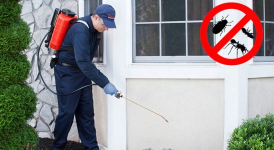 Yayladağı Uçan Haşere İlaçlama böcek ilaçlama ve haşere kontrolü — ilaclama-tr.com